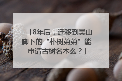 8年后，迁移到吴山脚下的“朴树弟弟”能申请古树名木么？